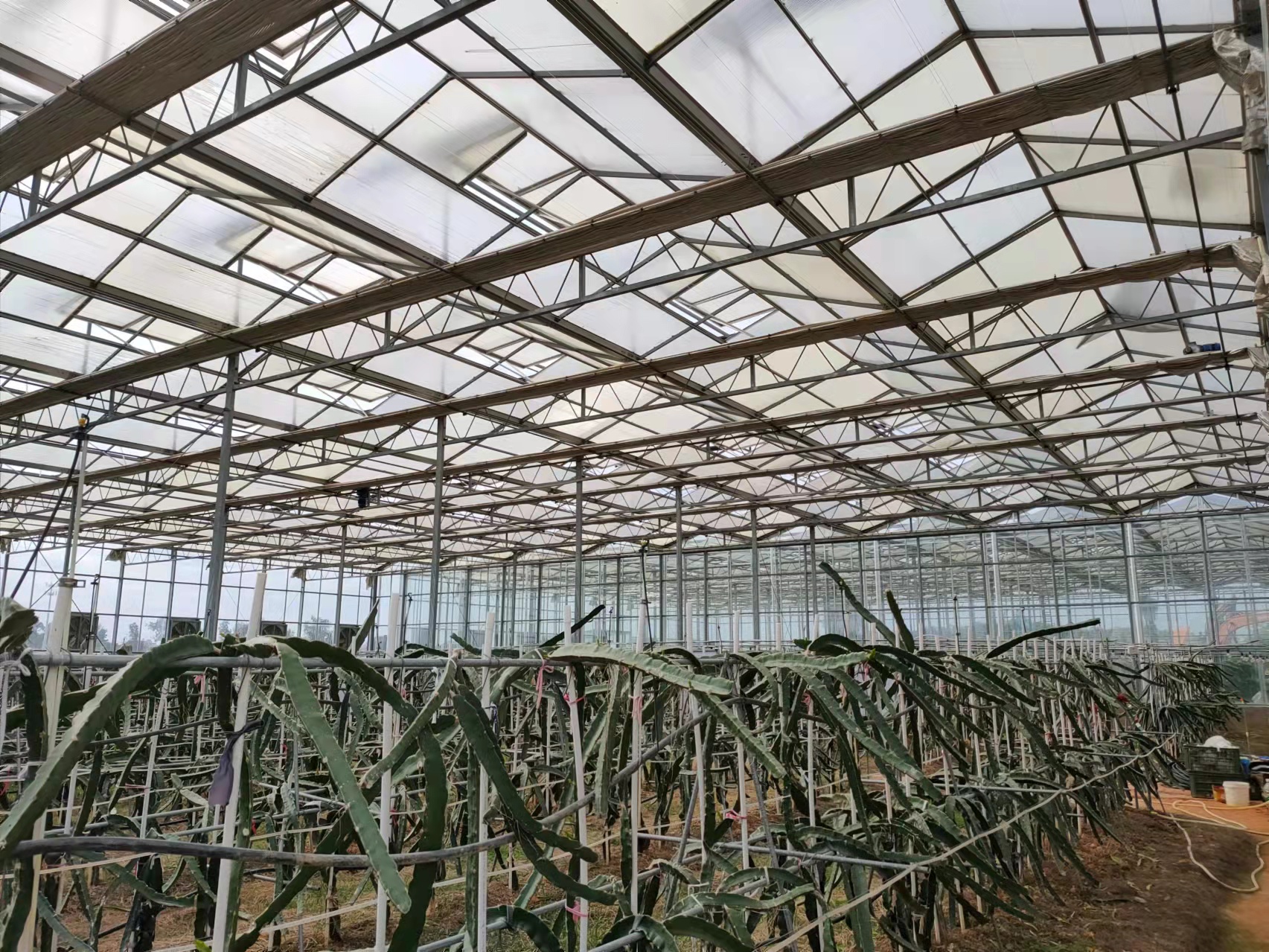 智能灌溉：提高农业生产效率的新途径